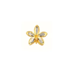 Aeridovanda Vieng Ping Orchid Brooch/Pendant (PG)