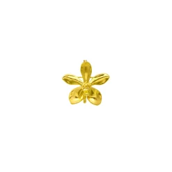 Aeridovanda Vieng Ping Orchid Brooch/Pendant (G)
