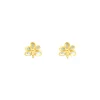 Ascocenda Blossom Earrings
