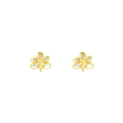 Ascocenda Blossom Earrings