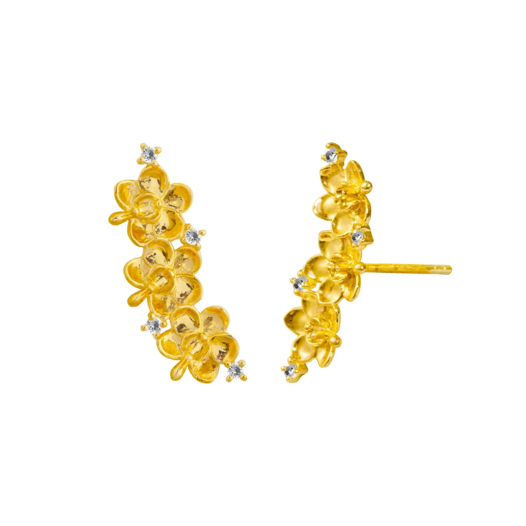 Ascocenda Garden Climber Earrings