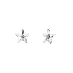 Dainty Ascocenda Orchid Earrings