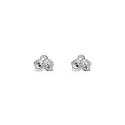 Dainty Phalaenopsis Earrings