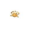 Dendrobium Tay Swee Keng Orchid Brooch/Pendant (G)