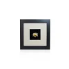 Dendrobium Tay Swee Keng Orchid Frame