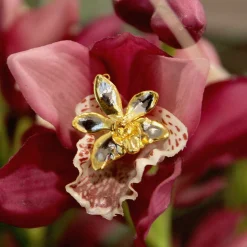 Doritaenopsis Summer Red Orchid Brooch/Pendant (PG)