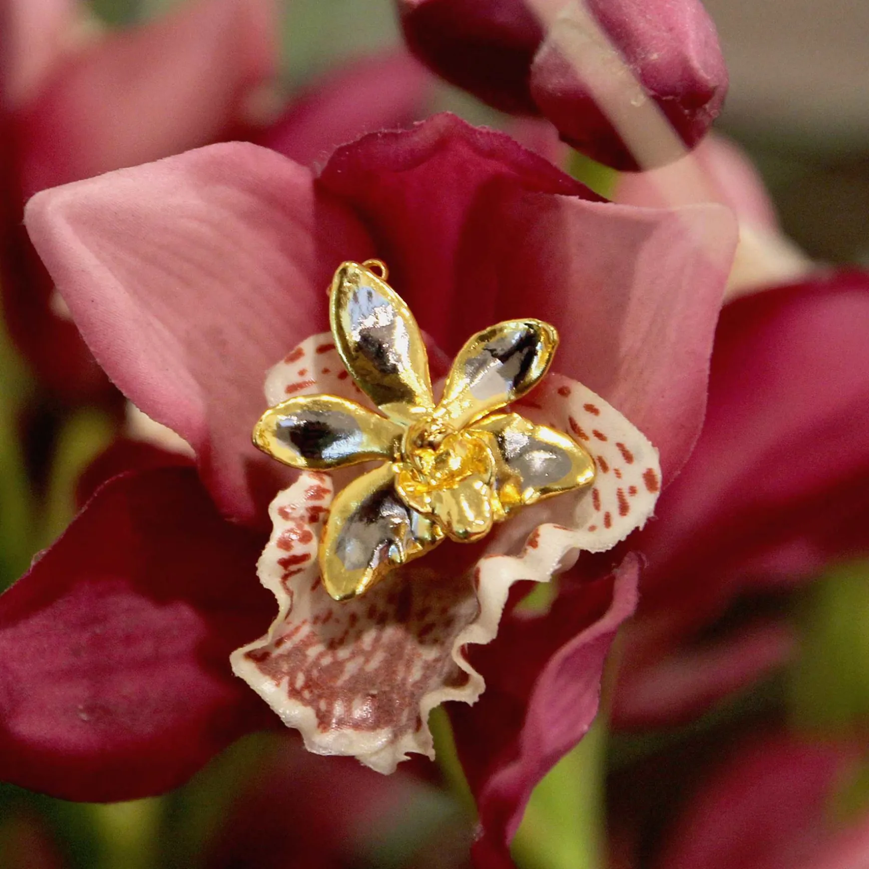 Doritaenopsis Summer Red Orchid Brooch/Pendant (PG)