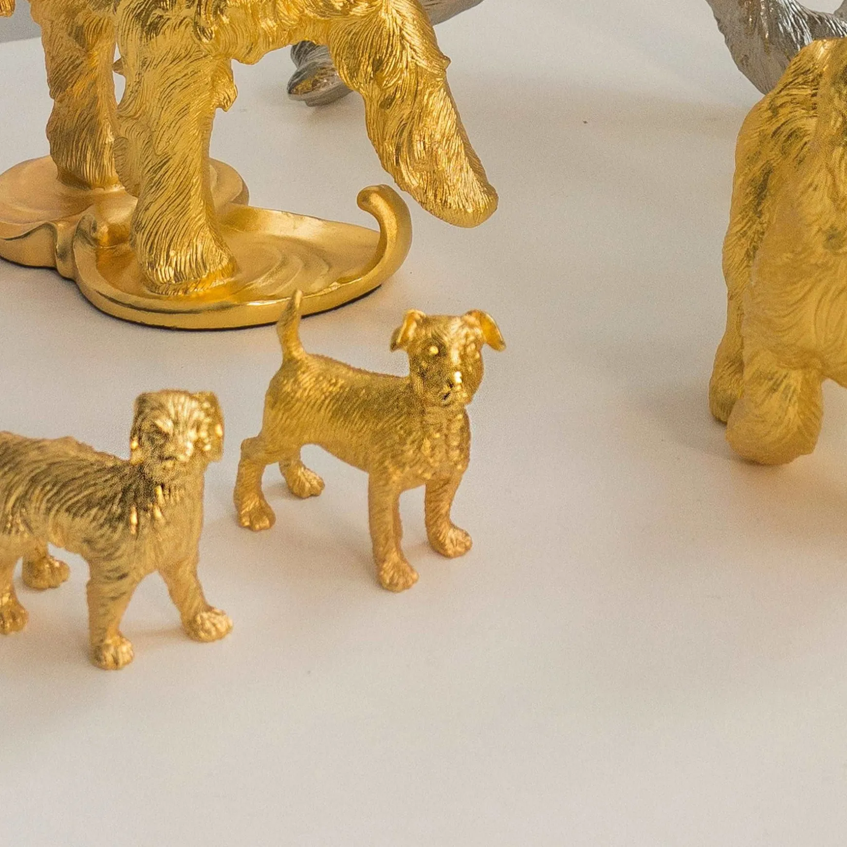 Mini Orientals - Dog