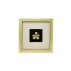 Mokara Orchid Frame VII