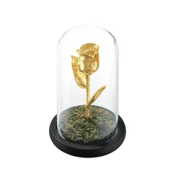 Natural Rose Dome in Gold