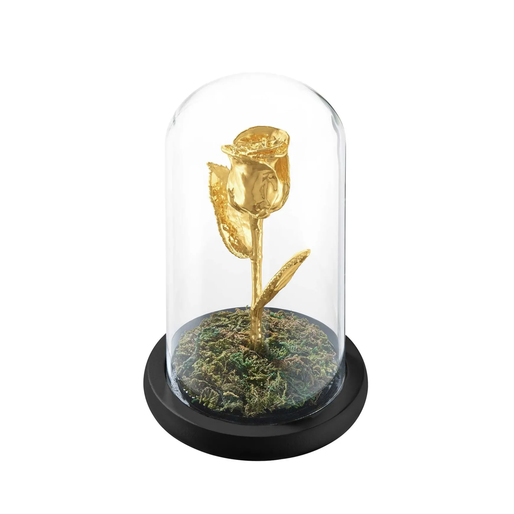 Natural Rose Dome in Gold