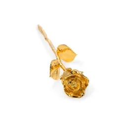 Natural Rose in Gold