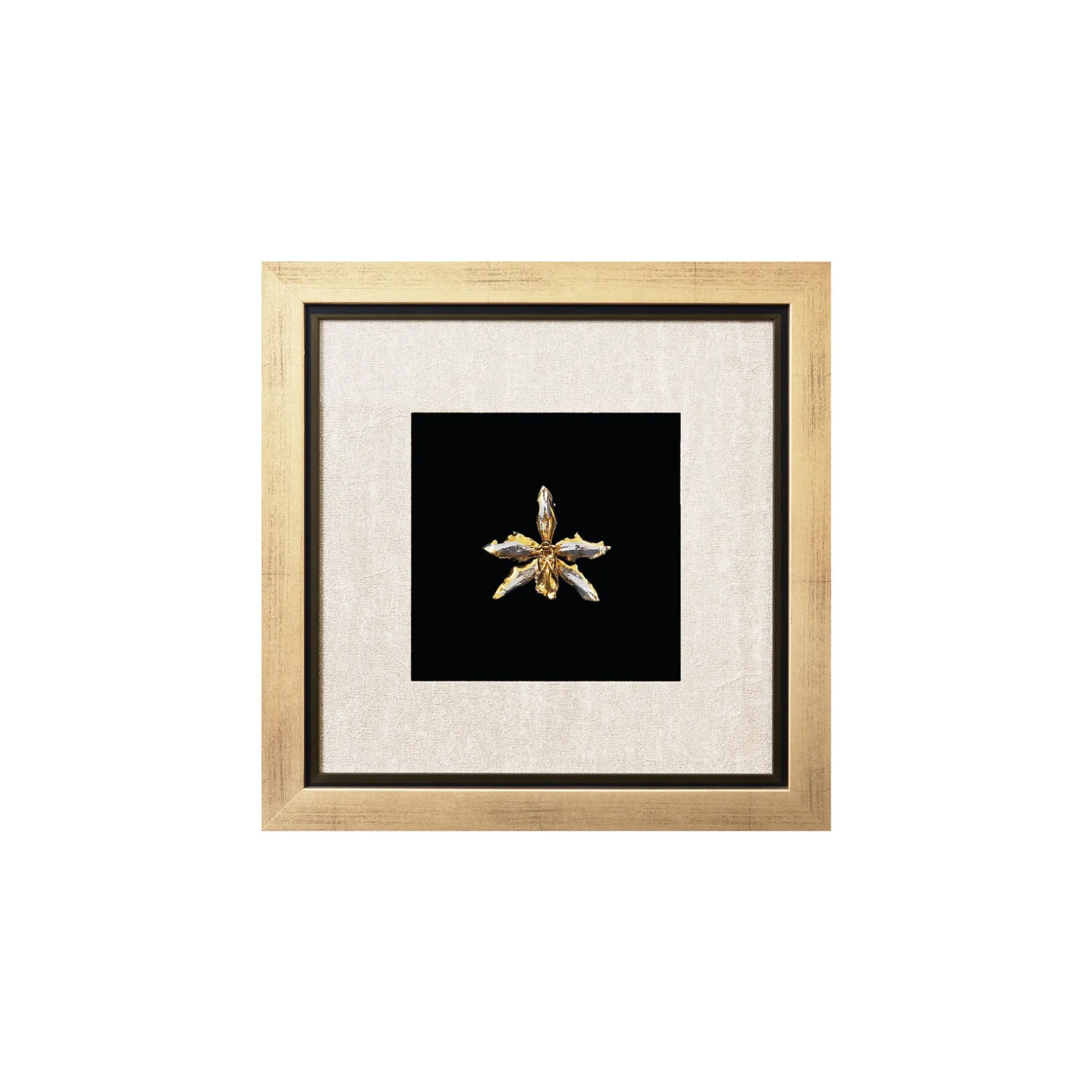 Oncidium Orchid Frame