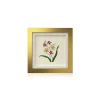 Oncidium Sharry Baby (Gold) Orchid Frame