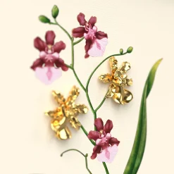 Oncidium Sharry Baby (Gold) Orchid Frame