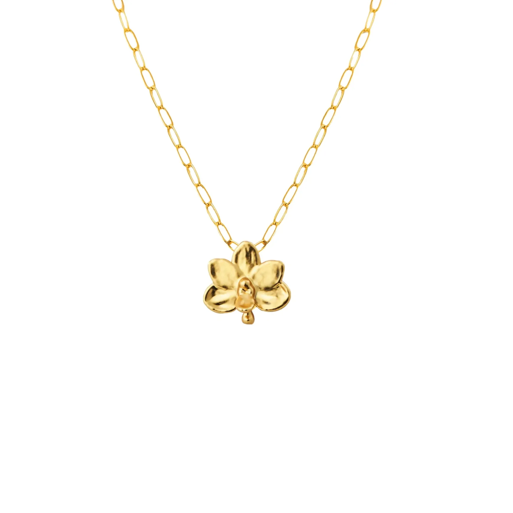 Petite Orchid Paperclip Necklace in Gold