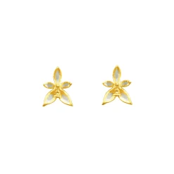Phalaenopsis Blossom Earrings
