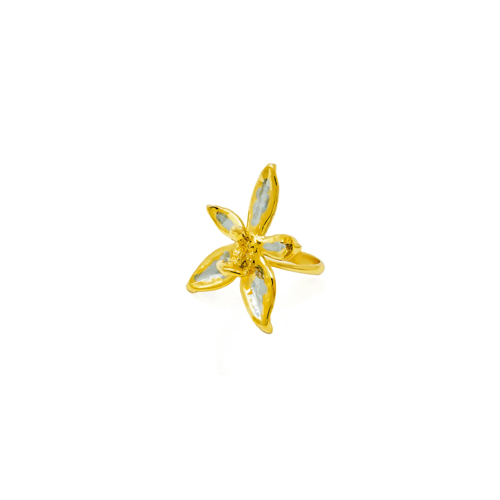 Phalaenopsis Blossom Ring