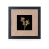 Renantanda Sawadi Orchid Spray Frame