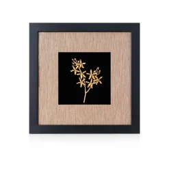 Renantanda Sawadi Orchid Spray Frame