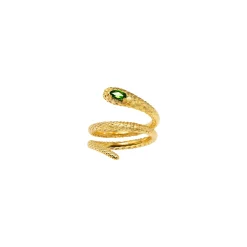 Serpentine Enigma Ring