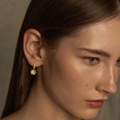 Starry Anise Versa Earrings in Gold