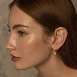 Starry Anise Versa Earrings in Gold