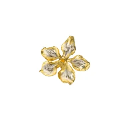 Vanda Hybrid Orchid Brooch/Pendant (L1) (PG)