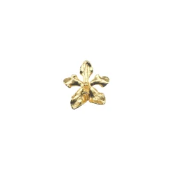 Vanda Limbata Orchid Brooch/Pendant (G)