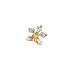Vanda Limbata Orchid Brooch/Pendant (PG)