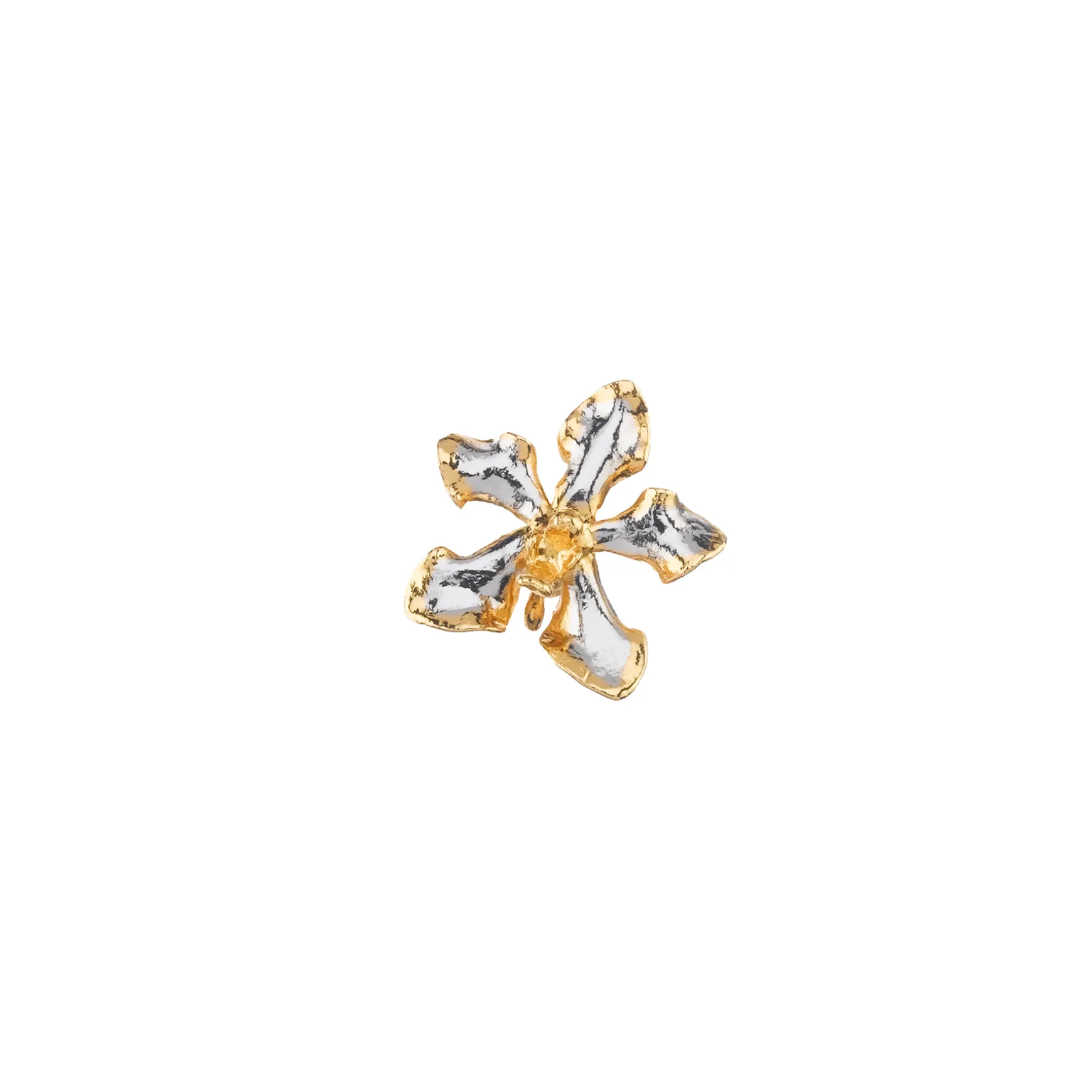 Vanda Limbata Orchid Brooch/Pendant (PG)