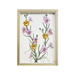 Vanda Miss Joaquim Artistry Frame