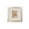 Vanda Wee Kim Lian Orchid Spray Frame